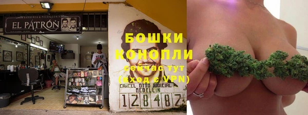 бошки Аркадак