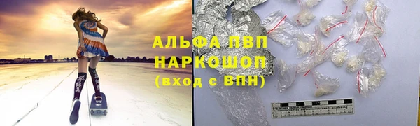 крисы Пересвет