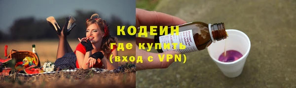 крисы Пересвет