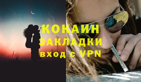 кокс Арсеньев