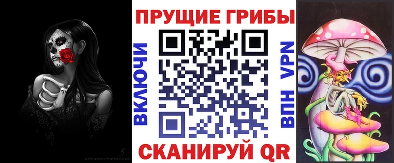 Псилоцибиновые грибы Magic Shrooms  кракен ссылки  Татарск 